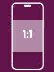 1:1